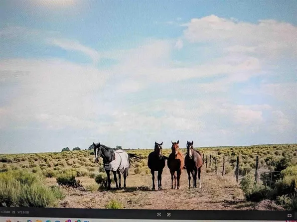 16073 Co Rd 55 Road, Saguache, CO 81149