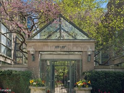 107 W Delaware Pl APT G, Chicago, IL, 60610