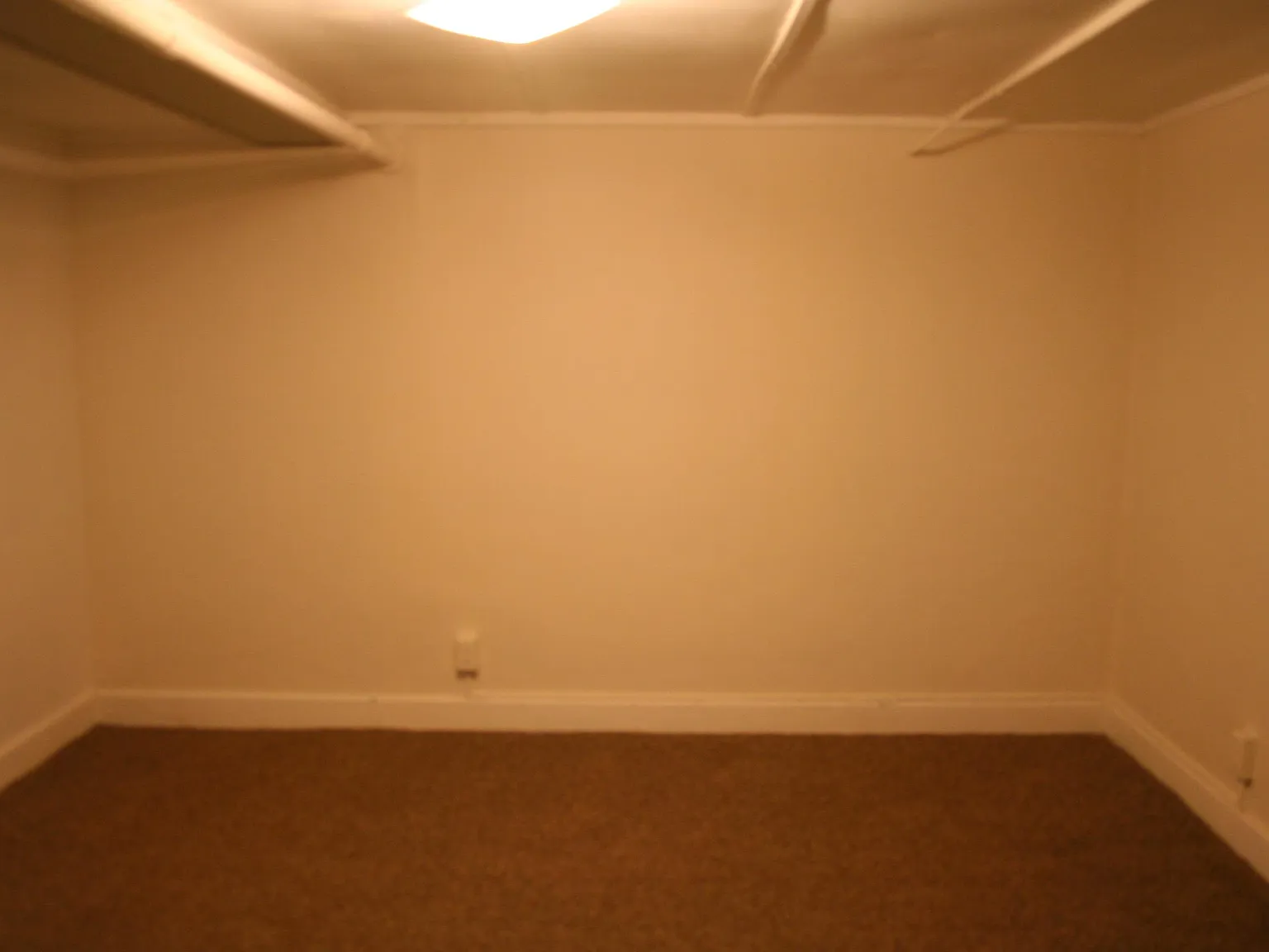 229 S Plymouth Ave — Photo 4
