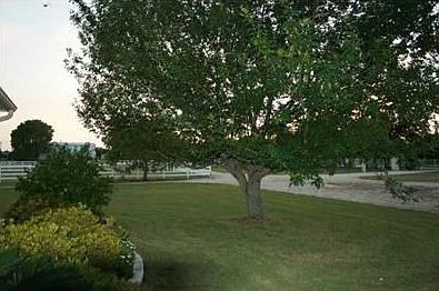 2nd image of 1650 County Road 258