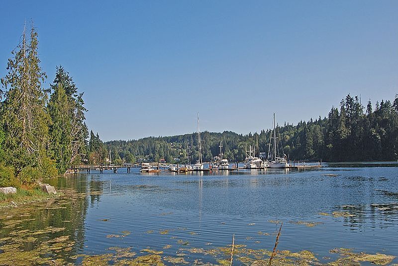 View of Eagle Harbor from back yard