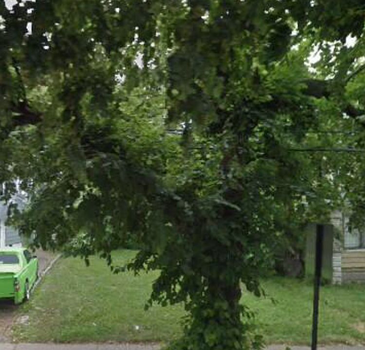 2nd image of 882 Haynes St