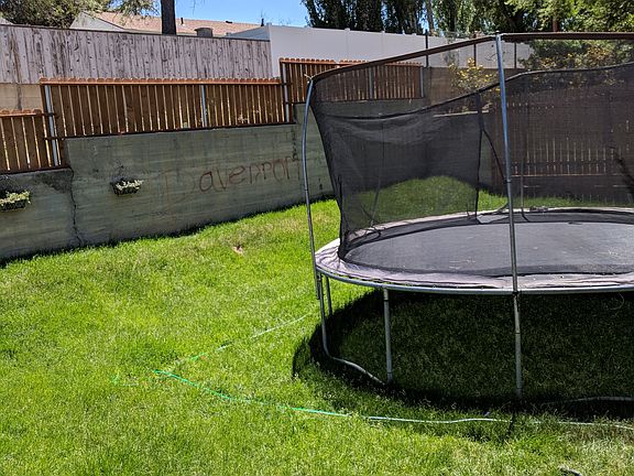 Back yard