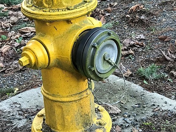 3rd image of 11008 SE 298th St