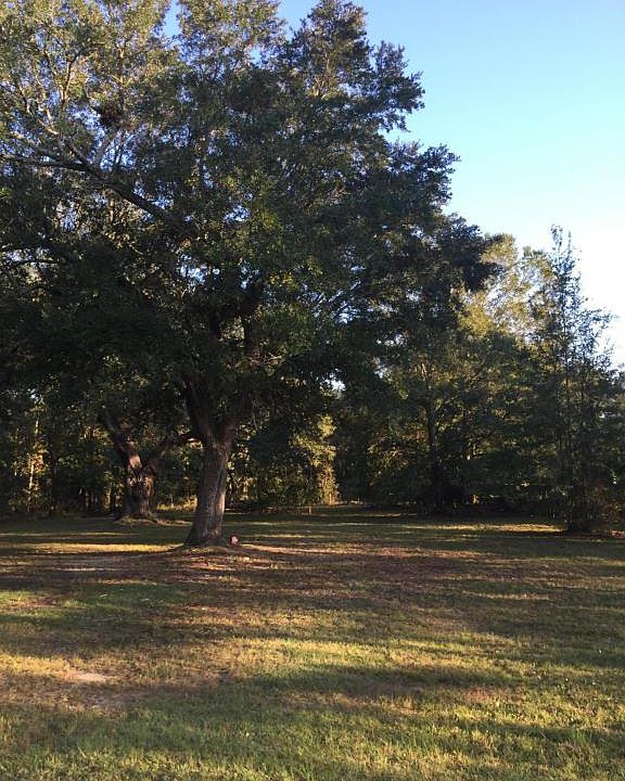 2nd image of 11010 Pin Oak Dr