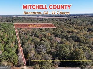 00 Brest Station Rd, Baconton, GA 31716