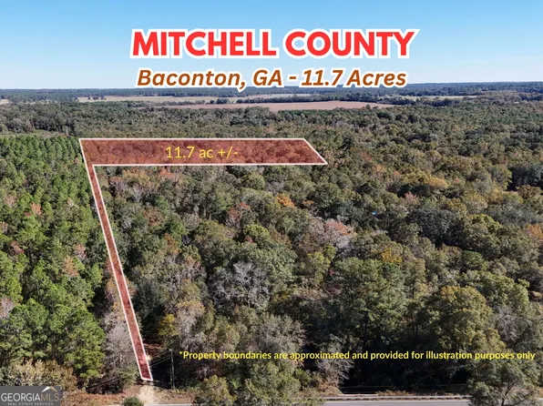 00 Brest Station Rd, Baconton, GA 31716