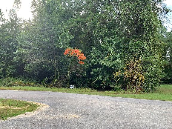 5th image of Rockwood Dr