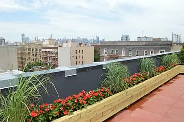 Rented by Dream Space Realty