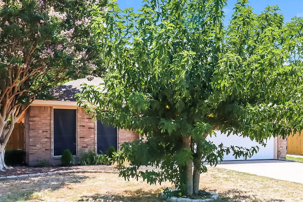 4 bed, 2.0 bath, 1654 sqft, $2,255 — Photo 3