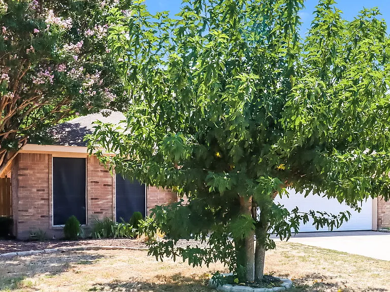704 Mimosa Trl — Photo 3