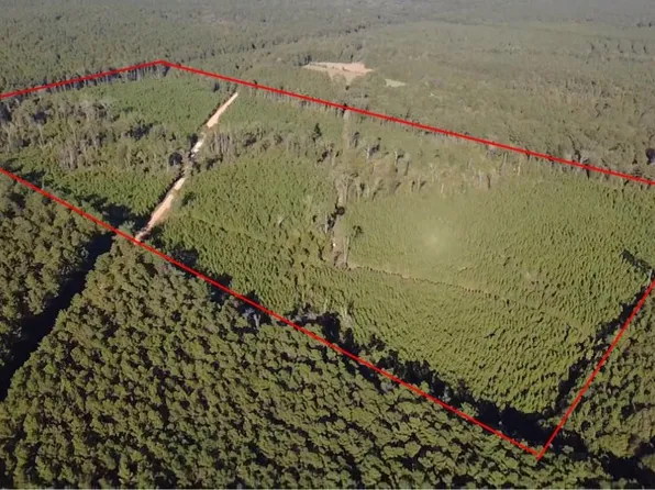 None Pacton Alexandria Rd, Winnfield, LA 71483