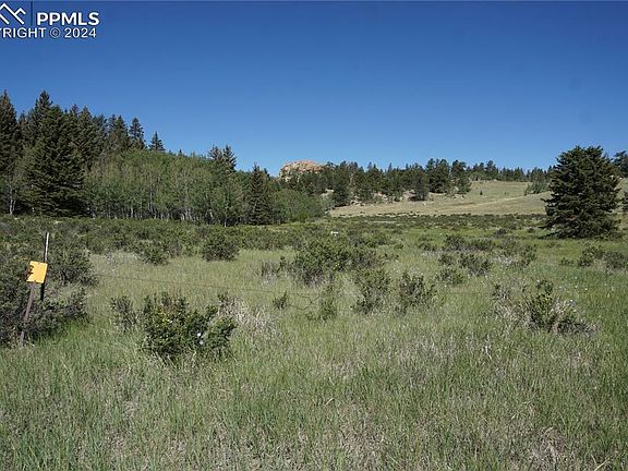 2nd image of 321 Forest Ln