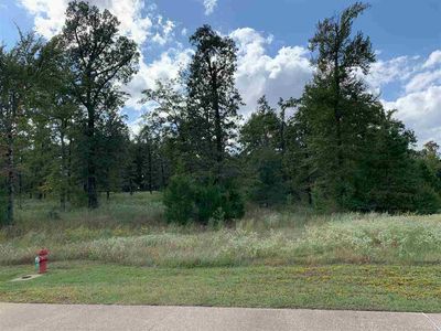 LOT 3 Stone Ridge Cir, Longview, TX, 75603