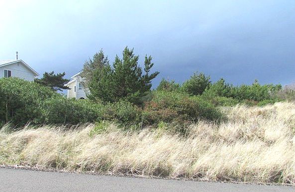 1st image of 923 S Sand Dune Ave SW