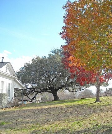 3rd image of 1611 County Road 119