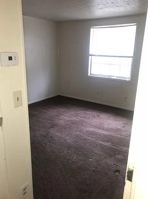 1 bed, $795 — Photo 4