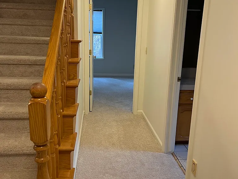 11551 Forest View Dr — Photo 17