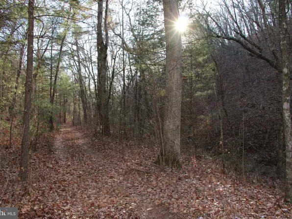 John Marshall Hwy, Strasburg, VA 22657