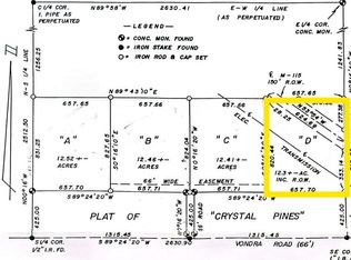 PARCEL Vondra Rd #D, Thompsonville, MI 49683