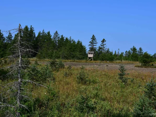 7618 County Road 511, Rapid River, MI 49878