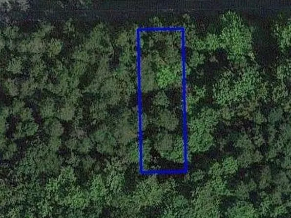 0 Chief Martin St, Madison, NC 27025