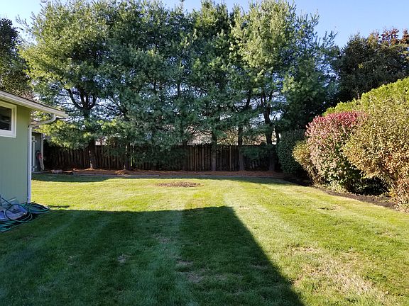 Great Backyard for kids!