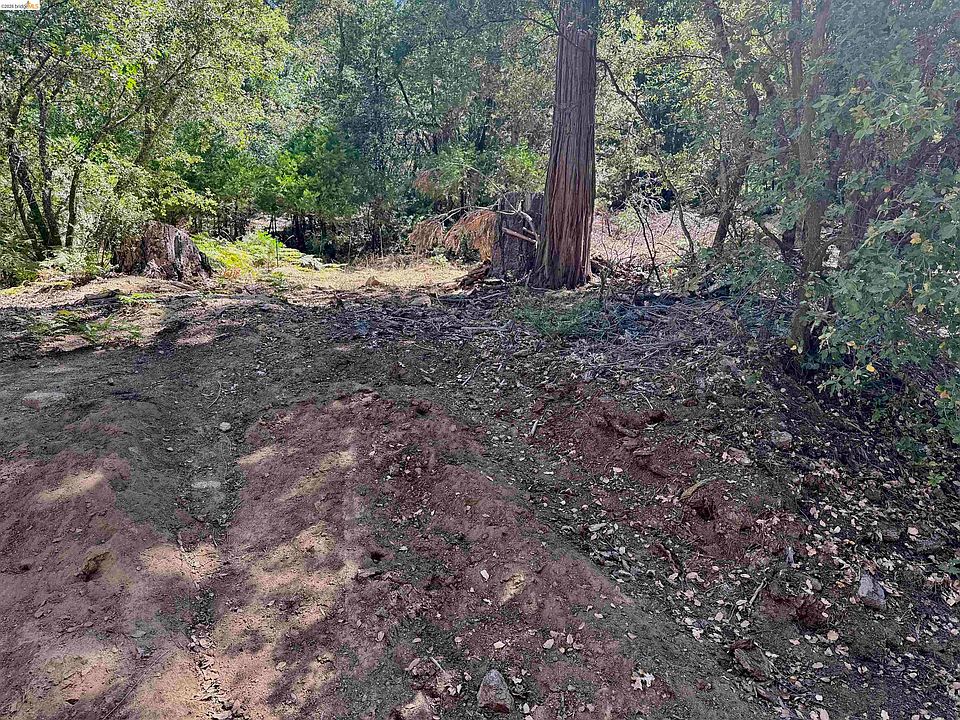 2nd image of 23265 Quail Dr