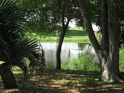 Rear Lake View