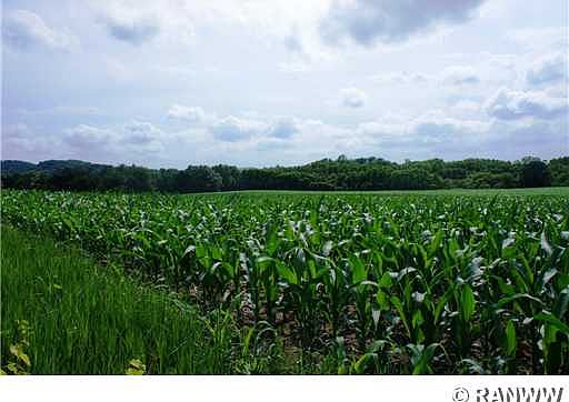1st image of 0 Lees Valley Road