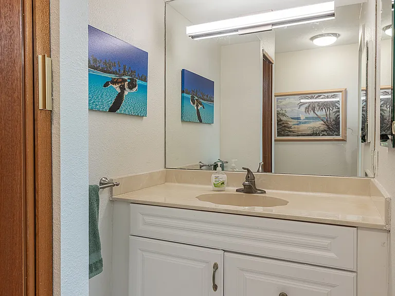 2531 S Kihei Rd #D512 — Photo 10