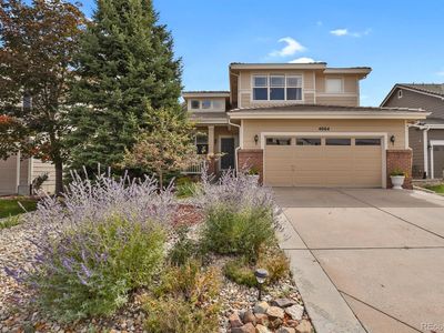 4064 Scarlet Oak Court, Castle Rock, CO, 80109