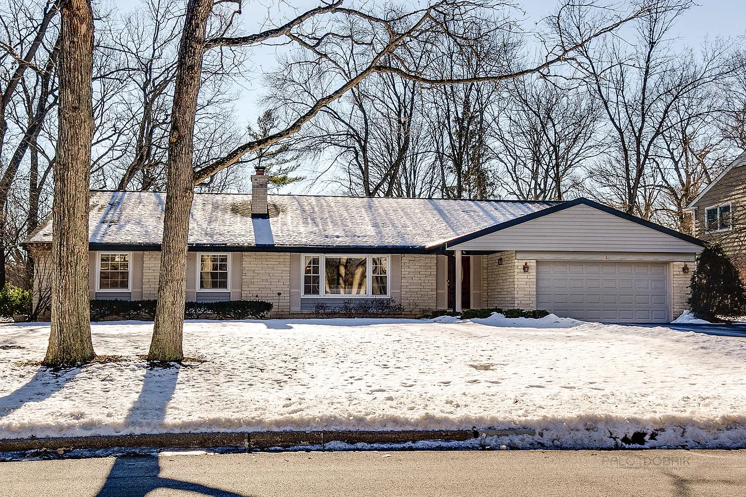 41 Cedar Ln photo 1