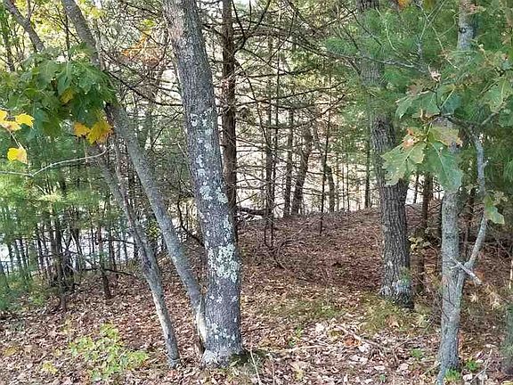 5th image of L15 Deerborn Ave