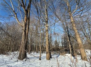 S Ridge Rd, Geneva, OH 44041