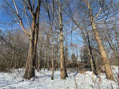 S Ridge Rd, Geneva, OH, 44041