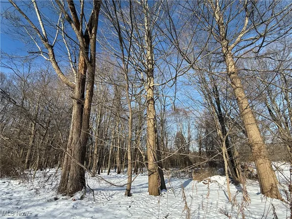 S Ridge Rd, Geneva, OH 44041