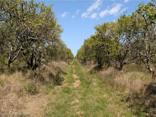 Mineral Branch Rd, Zolfo Springs, FL 33890