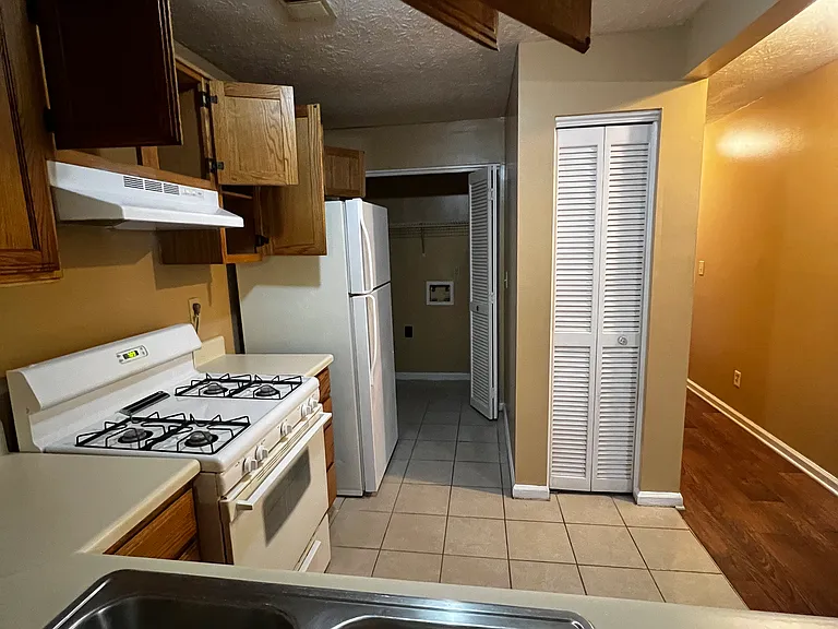 4366 Thunder Fork Dr — Photo 4