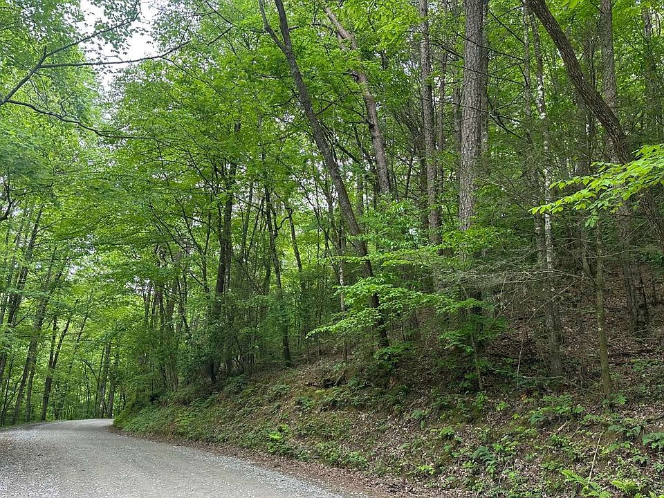 2nd image of 5 Bear Claw Rd
