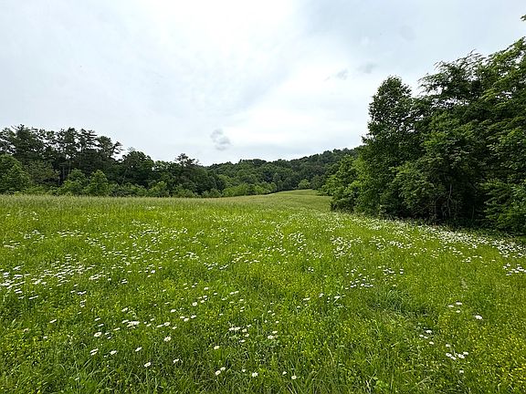 4th image of Licklog Hollow Rd Lot Wp003