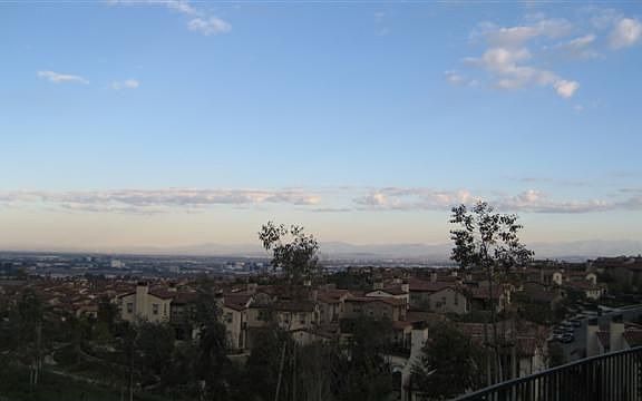 View from backyard