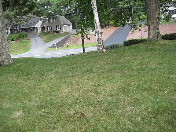 Front Yard