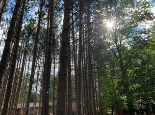 10734 Lake Ave, Ossineke, MI 49766