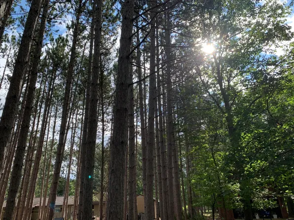 10734 Lake Ave, Ossineke, MI 49766