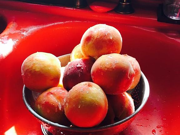 Palisade Peaches