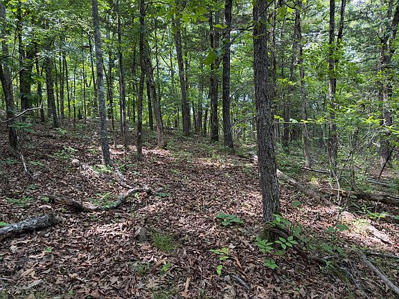 5th image of 000 Moore Bend Road