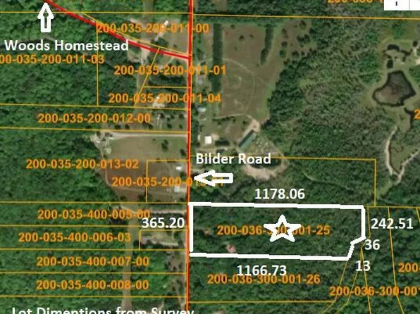 11449 Bilder Rd, Wolverine, MI 49799