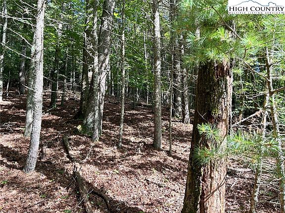 5th image of TBD/Lot 11 Fernwood Lane