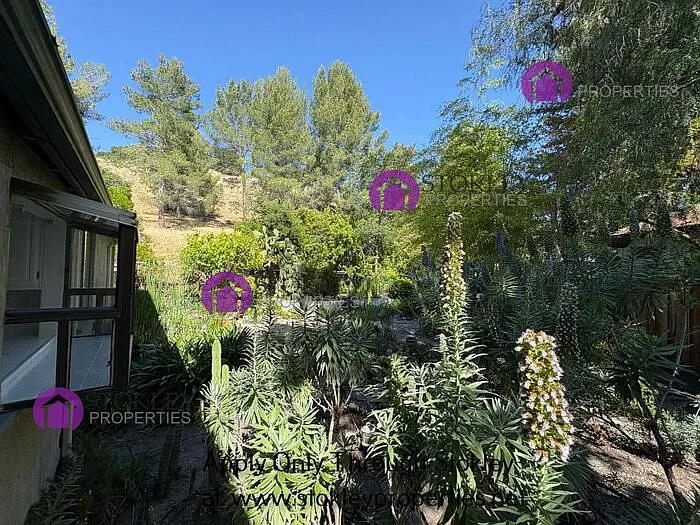 1484 Cortez Ct — Photo 45